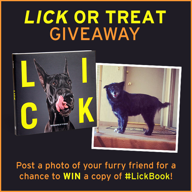 LICK or Treat Giveaway